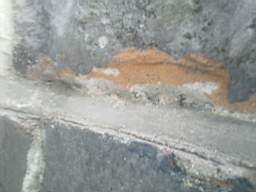 millstreet 11960.jpg